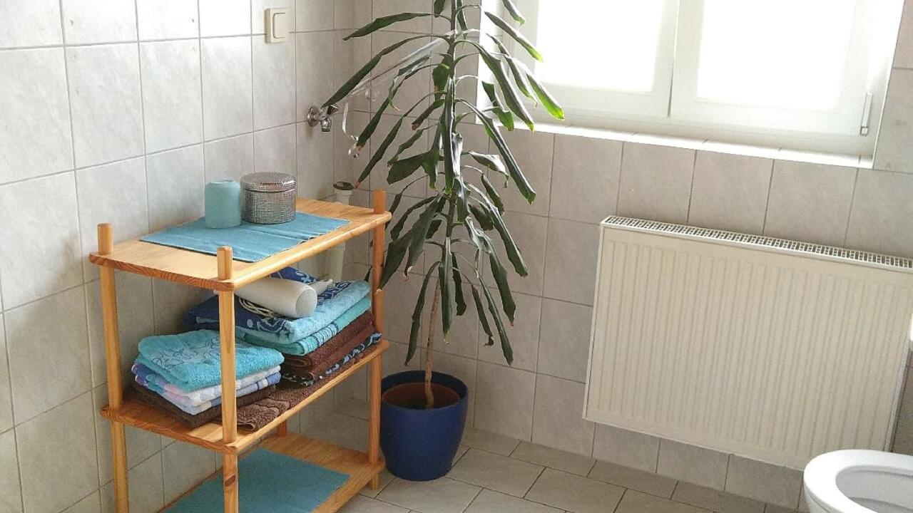 Ferienwohnung Steinwald Auslaeufer Mit Blick Auf Koesseine Waldershof Exterior photo
